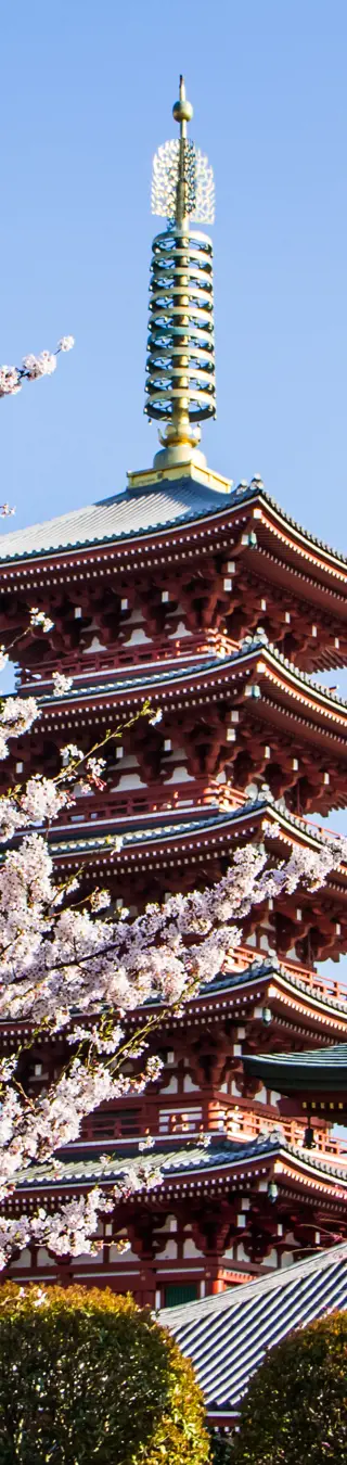 Die unzähligen Tempel und Schreine sind eine Quelle der Ruhe im sonst sehr wuseligen Japan